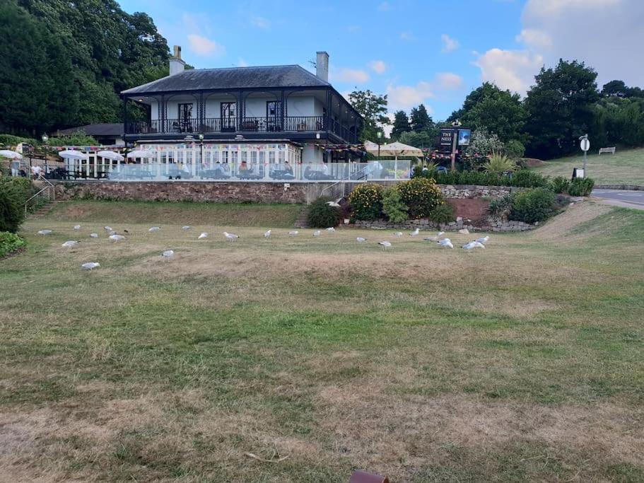 Beach Retreat Village Centre Location Shaldon Exteriér fotografie
